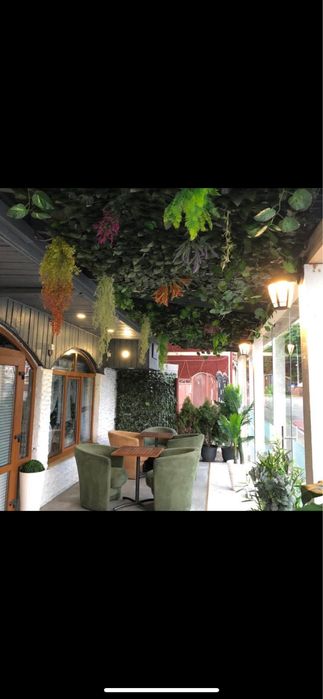 Inchiriere spatiu comercial