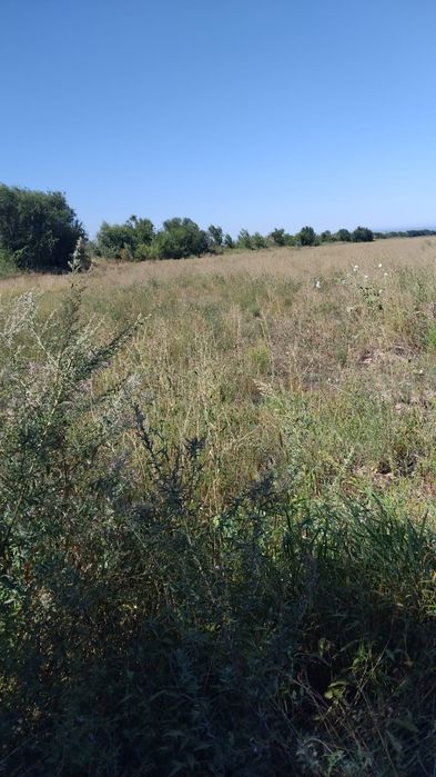 Продам землю кретьянское хозяйство
