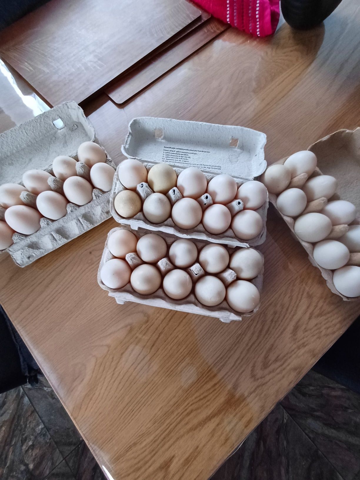 Vând ouă de rață de casa