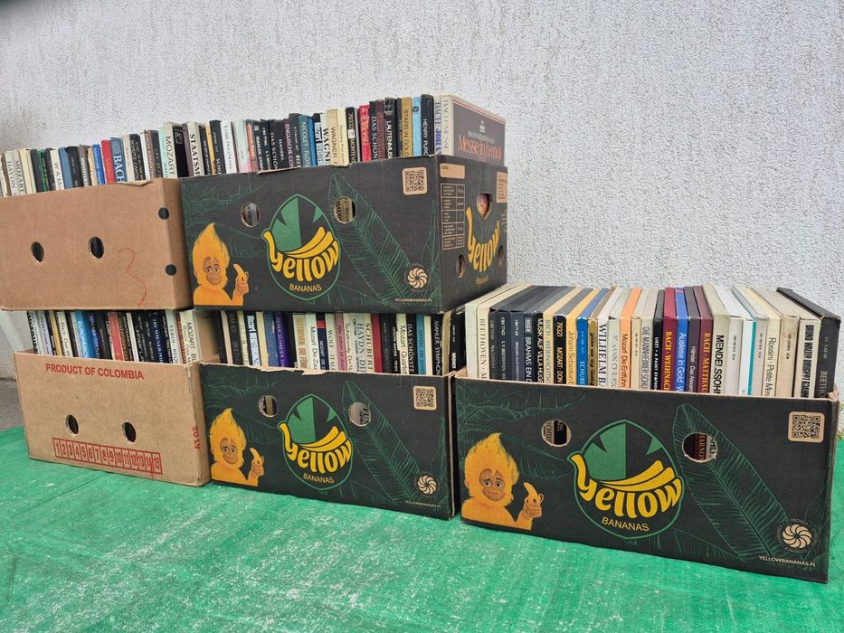 Vând Lot 100lp Discuri Vinil cu muzică clasică mixta