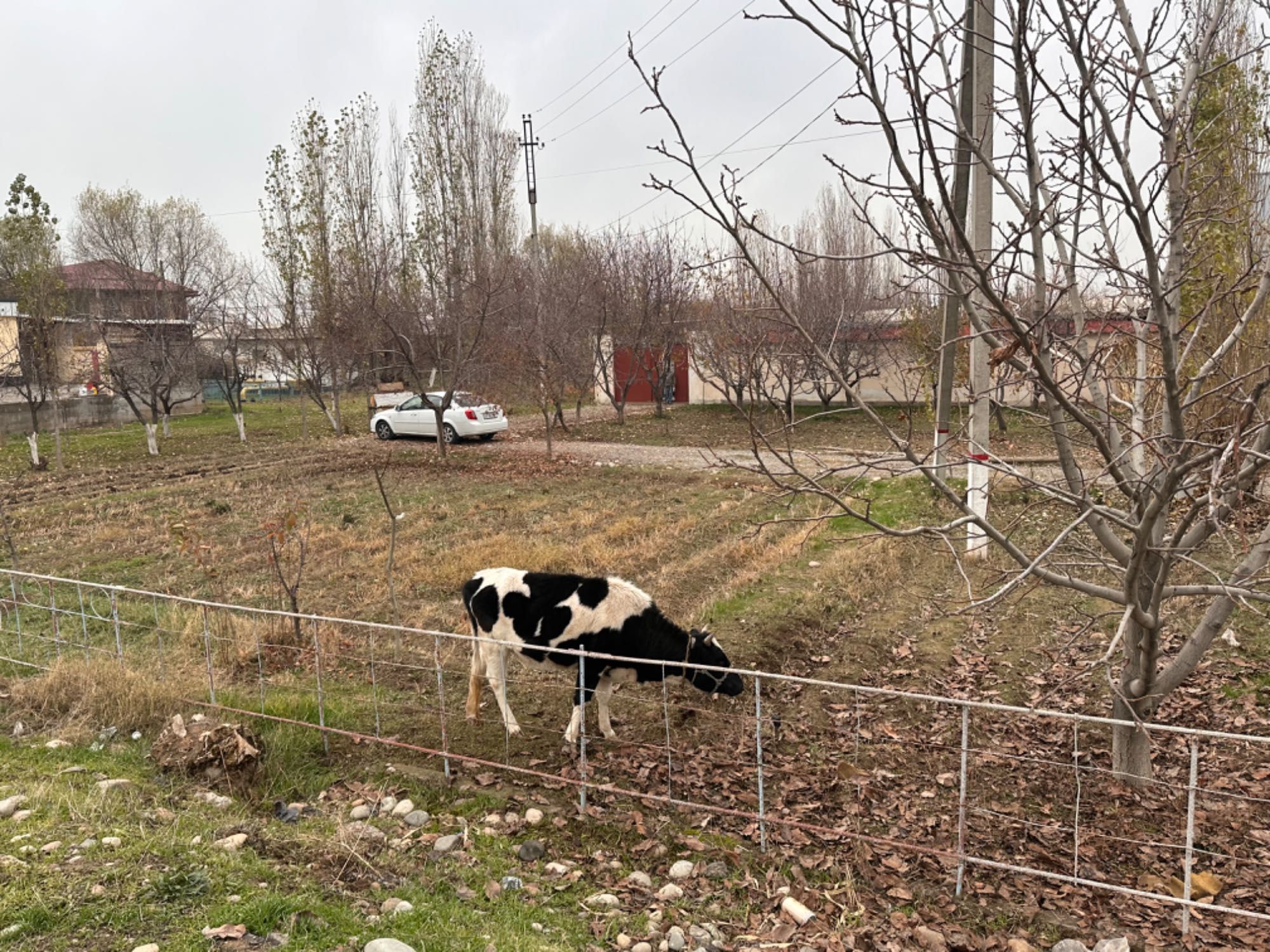 Продам дом, Бектемирский  район