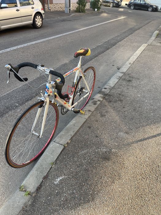 Cursiera U.Scanini linie shimano 105