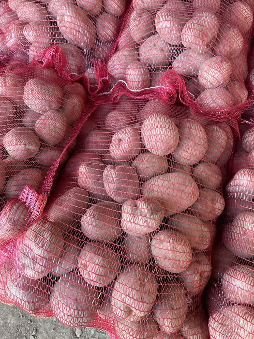 Cartofi pentru TARABA