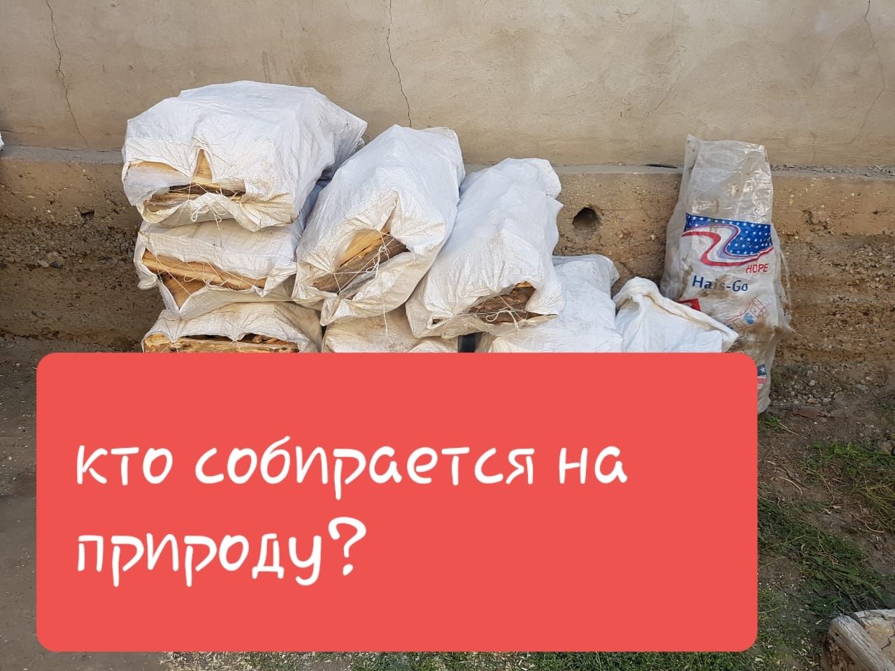 Дрова для шашлыка. Карагач  в мешках..
