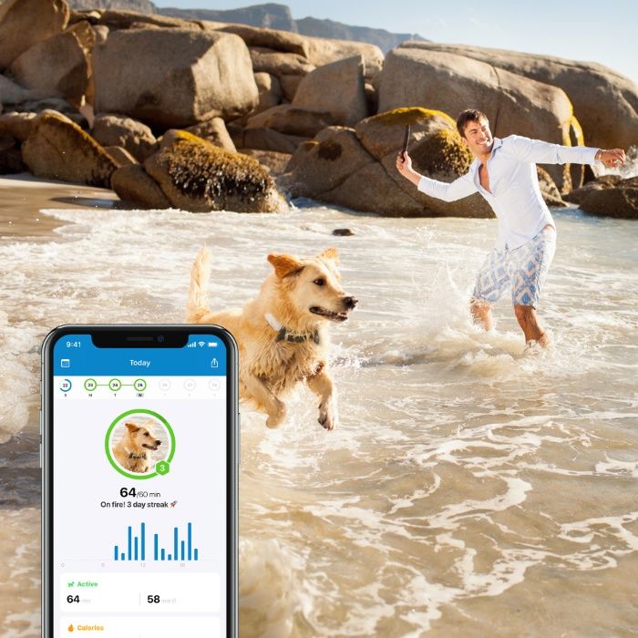 NOUL Tracker GPS Tractive 4 pentru câini - zgarda GPS