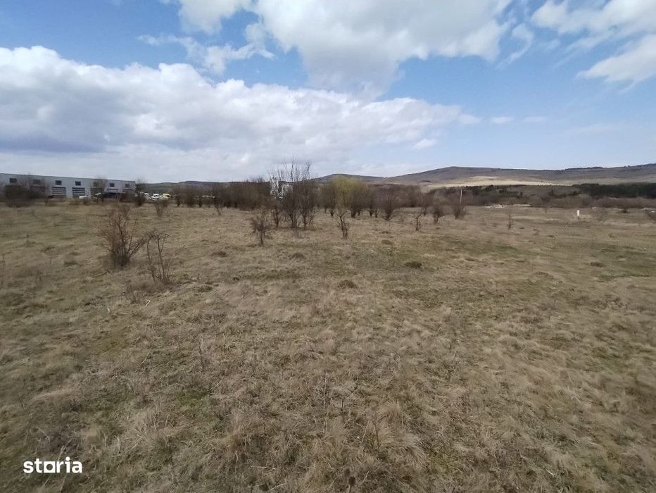 Teren de vanzare, 1.3HA., utilitati, acces din DN