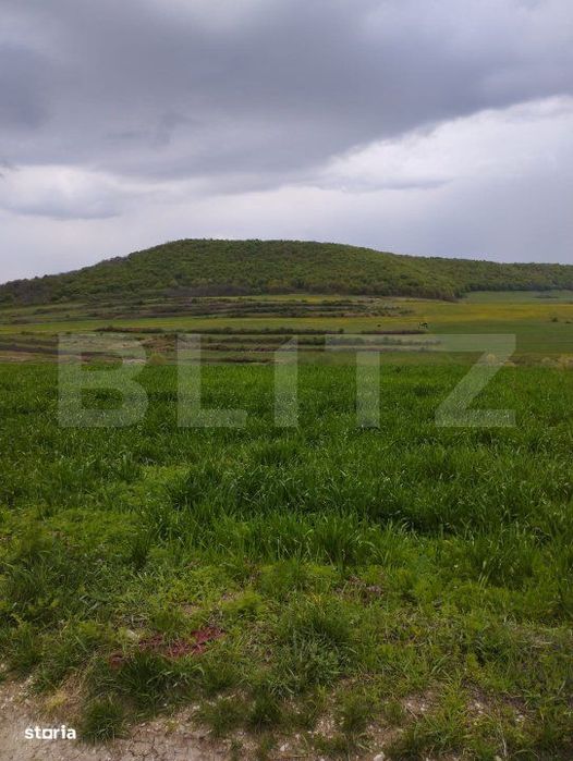 Teren extravilan 3621 mp, in Petrestii de Mijloc