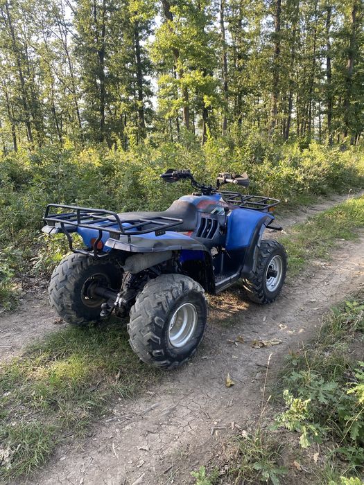 ATV Linhai 300 2x4
