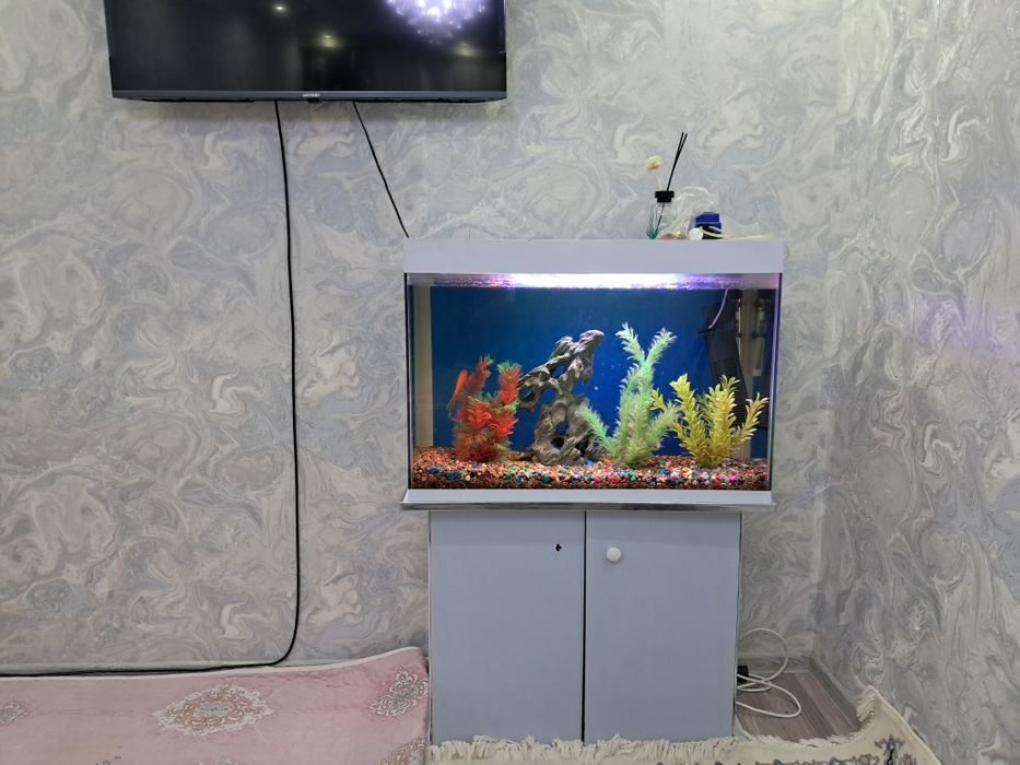 Аквариум ва балик