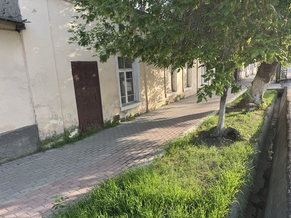 Sibirki kuchasidan xovli sotilyapti