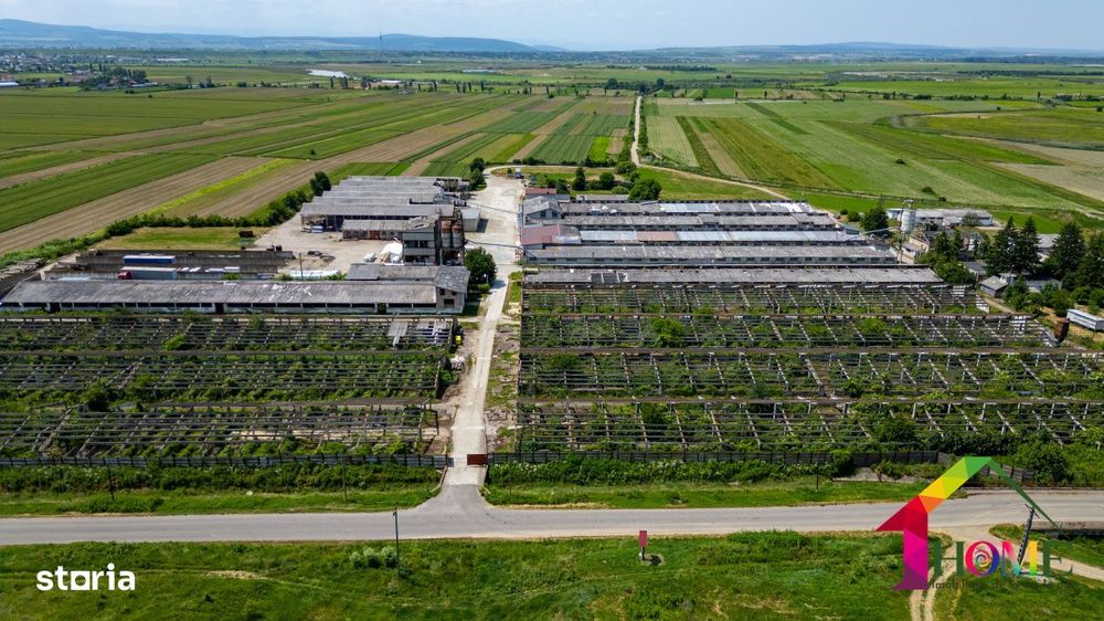 Teren 100.000 mp + Spatii Industriale Bacau