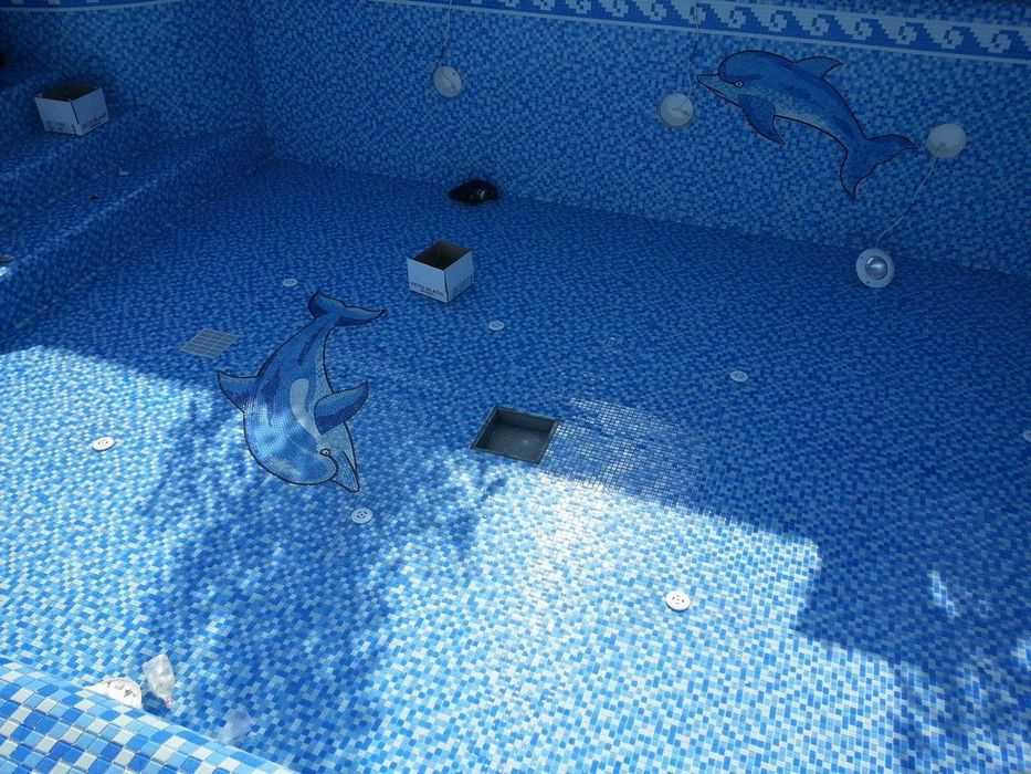 Мойка и обслуживание бассена