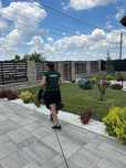 Amenajare și întreținere grădini – Albine În Grădină SRL