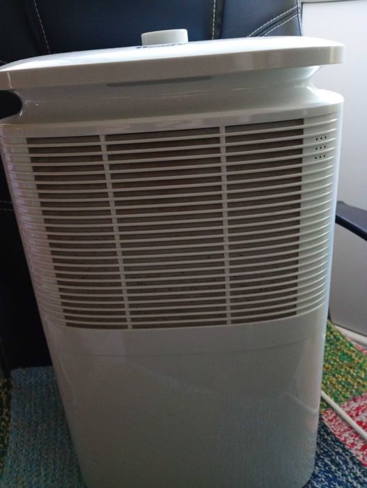 Dezudimificator Woods