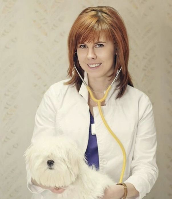 Ветеринар на дом Ветеринарный врач вызов выезд на дом Вакцинация УЗИ