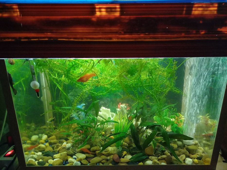 Продам аквариум 80 л