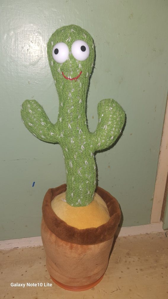 Oferta cactus jucarie dansator