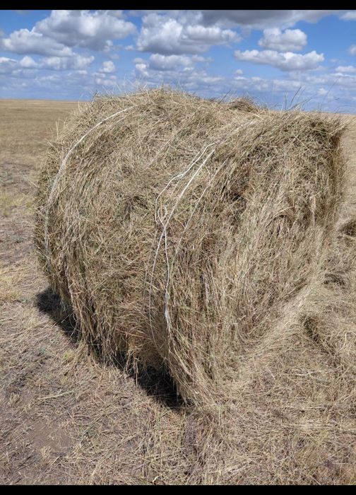 Сено Свежескошенное в рулонах 200 кг
