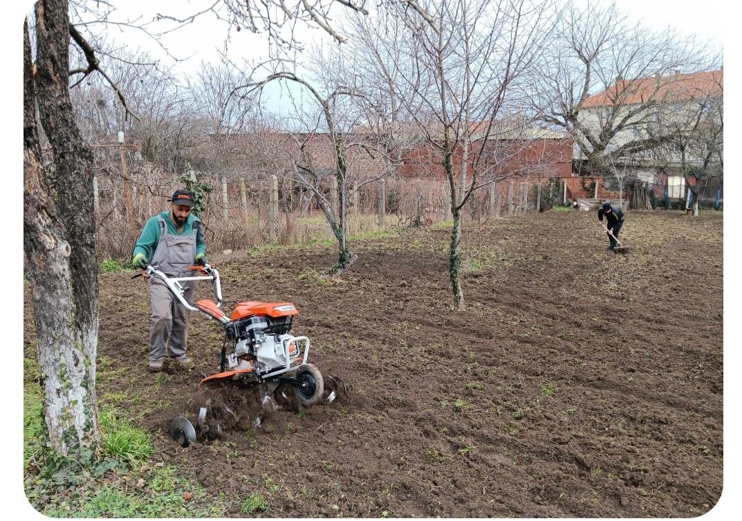 Defrișări vegetatii, intretinere,spații verzi