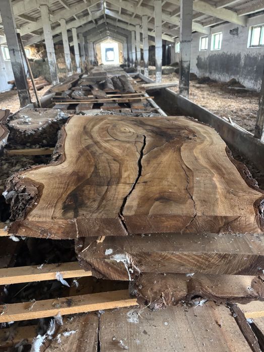 Blaturi de nuc,diferite dimensiuni