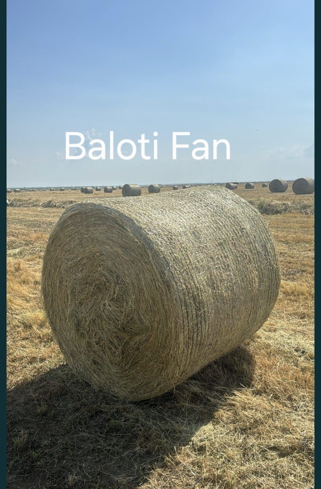 Baloti Fan Calinesti/Arges