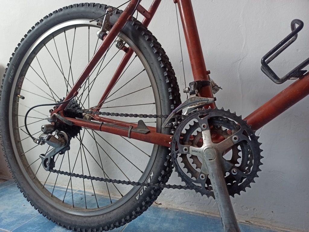 Bicicleta ciclotutism