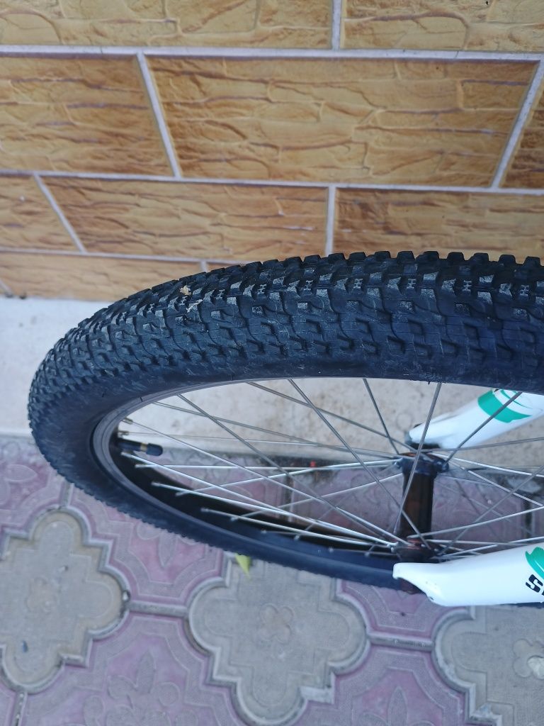 Kona 24 цола.         .