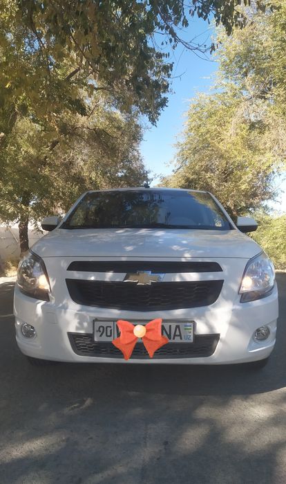 Cobalt sotiladi rangi Oq mexanika