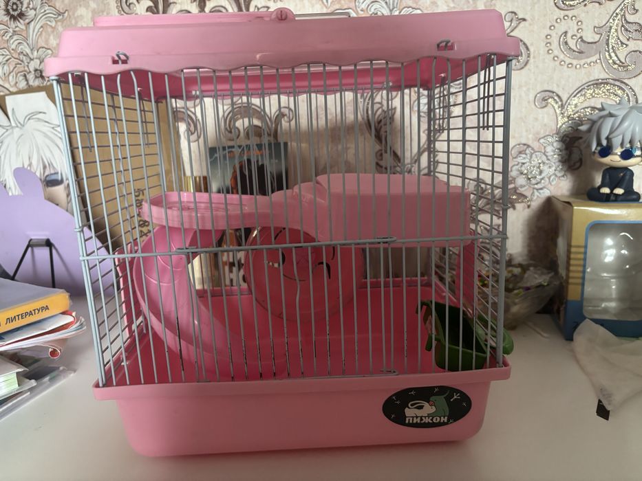 клетка для хомяка + корм
