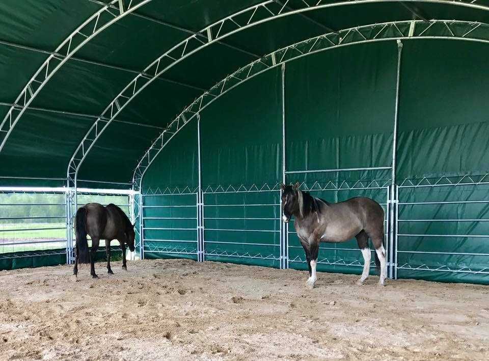 Cort animale adapost grajd mobil 10m x 10m