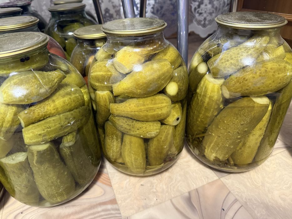 Продам огурцы соленья