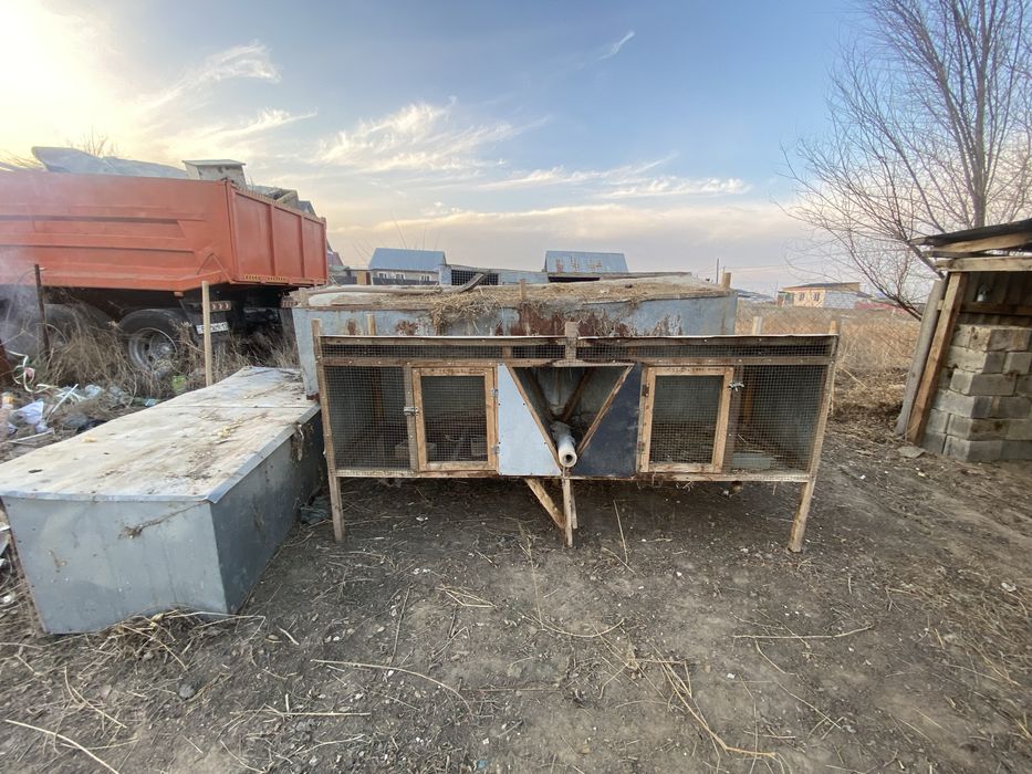 Қояан тағы басқа жандыктерге жатақ қана