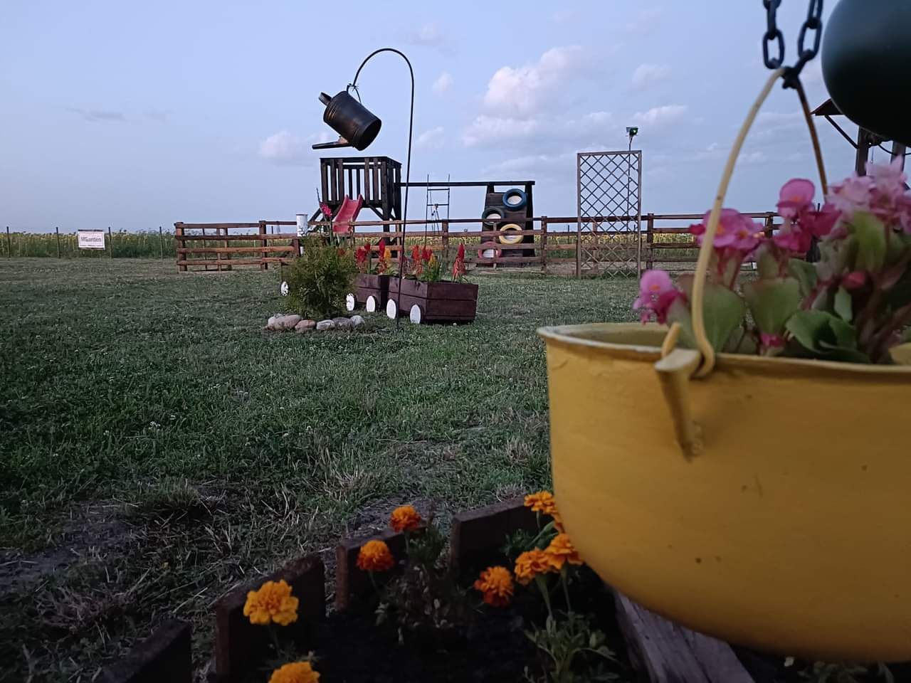 M Garden Nature: Locația Perfectă pentru Evenimente Unice