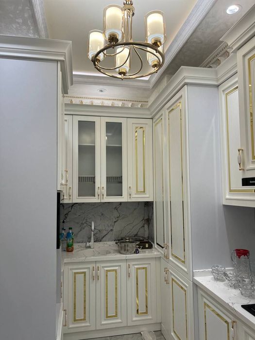 Navastoryka chilonzor