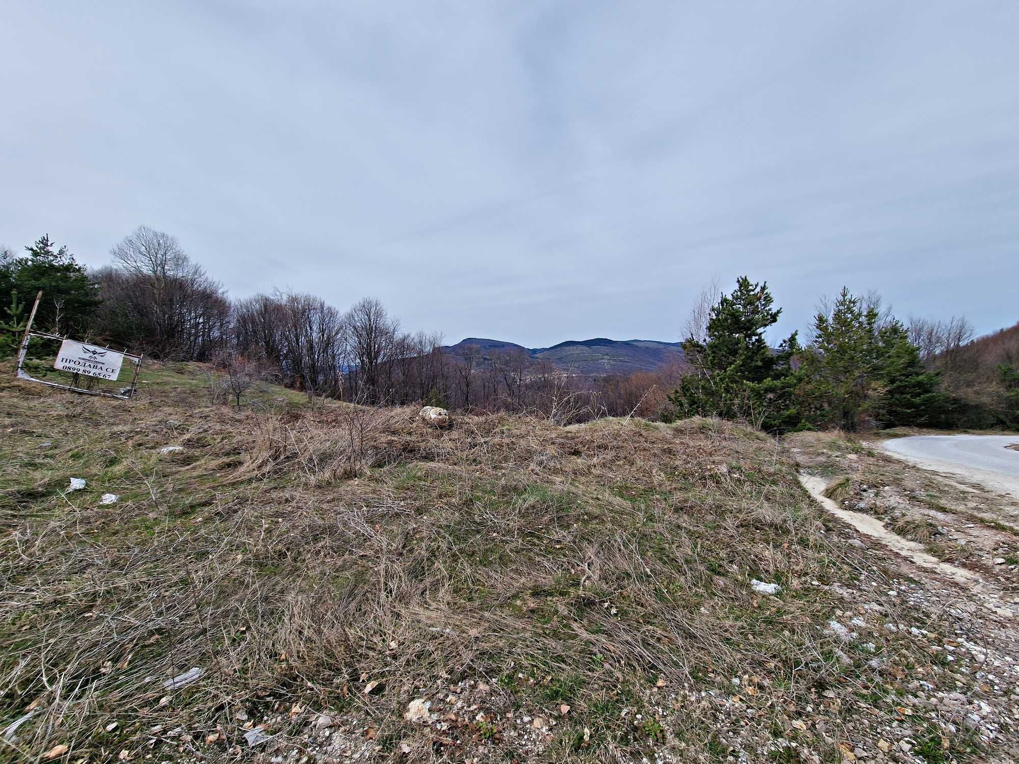 Продавам земя 1981кв. в село Врата, местност КАБАТА общ.Асеновград