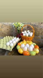 Яйца от бял легхорн