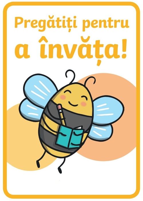 Planșe didactice