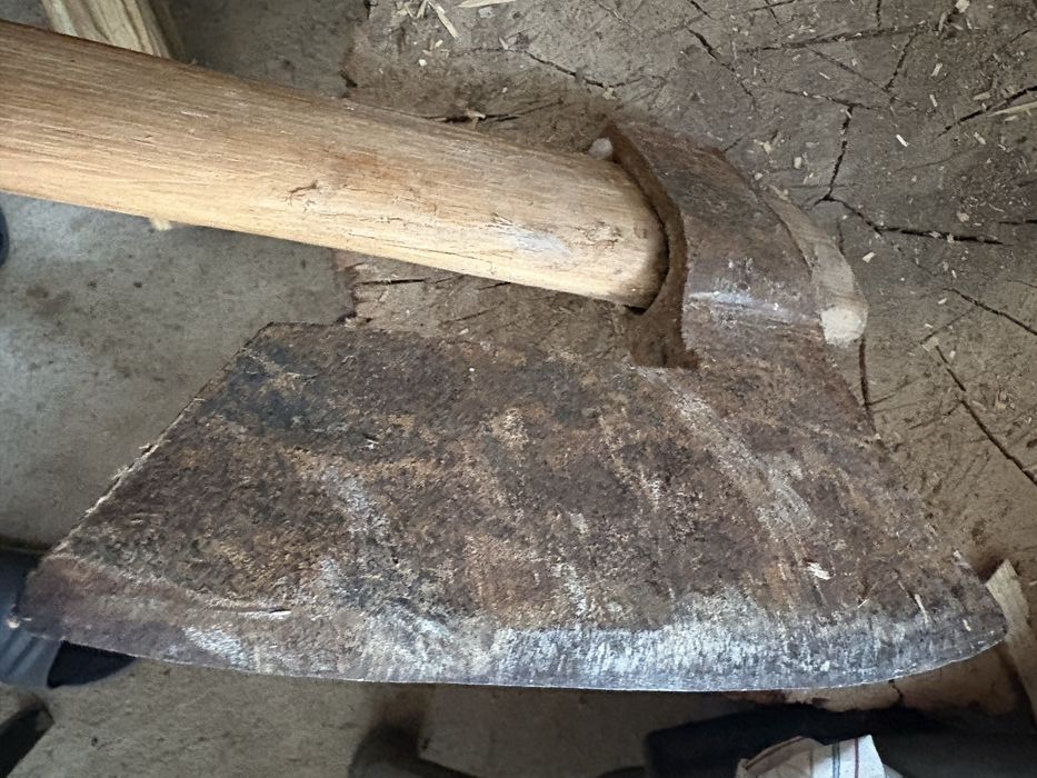 Bardă mare fier puternic dezvoltată