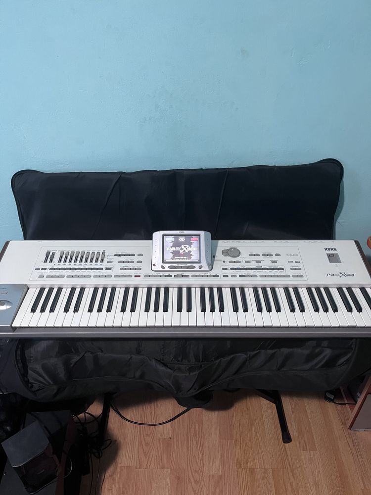 Korg pa2x pro 256mb ram