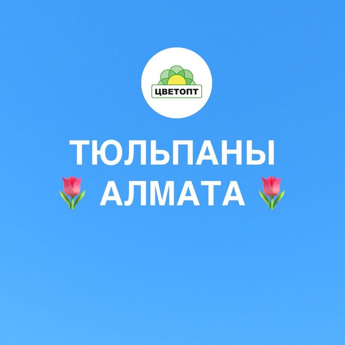 Тюльпаны оптом Алматы