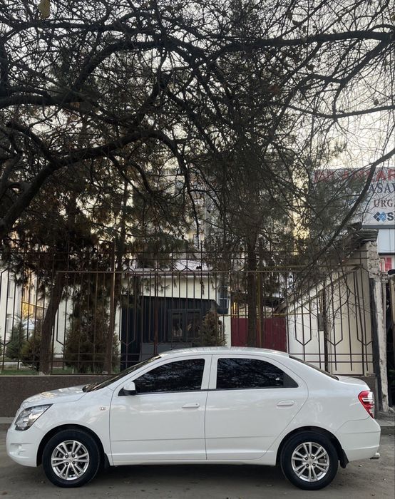 Cobalt Arendaga beriladi