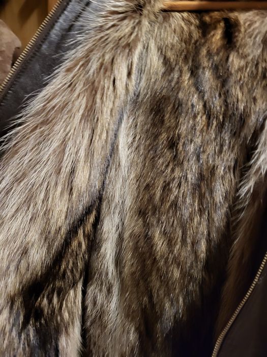 Haina barbateasca blana de raton