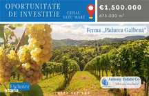 Oportunitate de investitie, Ferma Padurea Galbena  - Cehal, Marghita