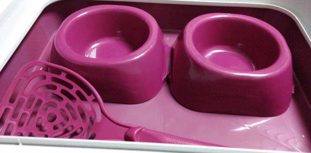 Наборы для кошек. Лоток, 2 миски и совок. Доставка.