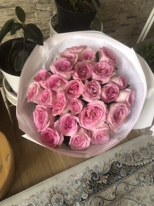 Разные красивые Цветы