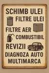Scanare erori diagnoza auto multimarca 80 lei, schimb ulei filtre