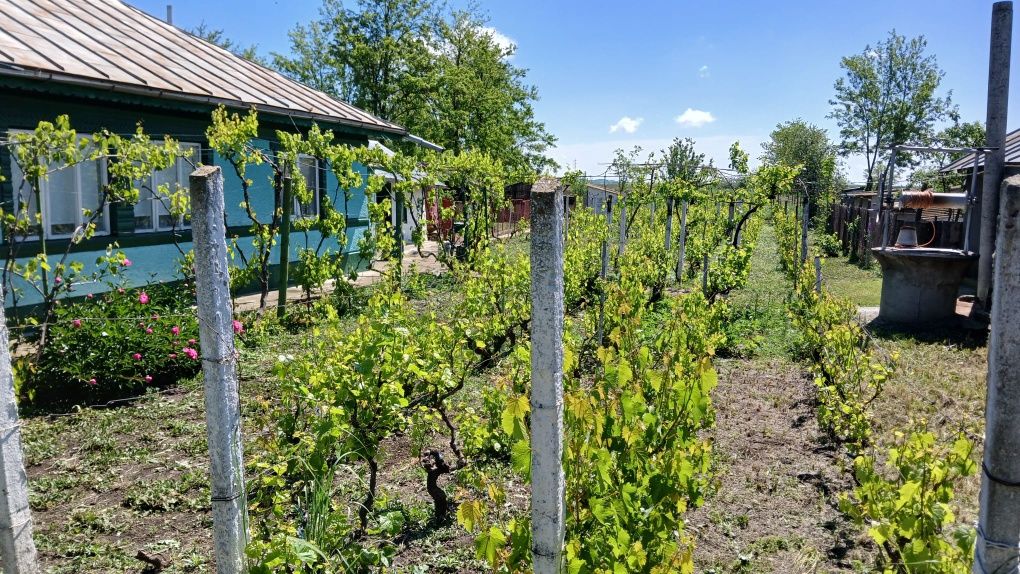 Vând Casă caramida