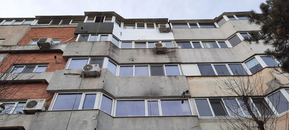 Toaletare copaci cu alpinisti