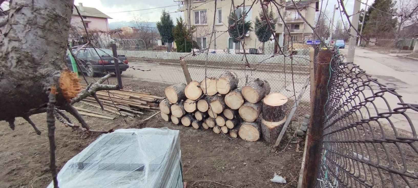 Рязане на опасни дървета арбористи алпинисти кастрене премахване