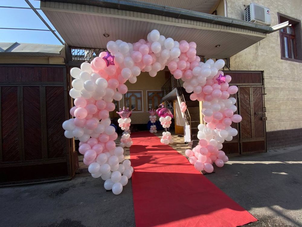 Afarmlenya ayiq animatr vidio foto albom moshina kartej tugilgan kun